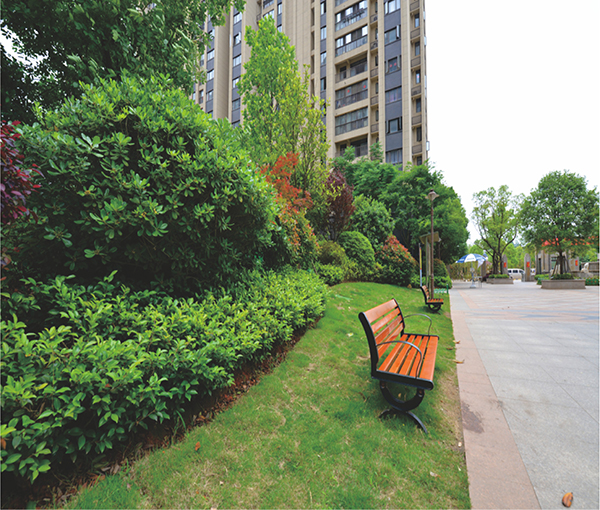 中央首府景观园林项目